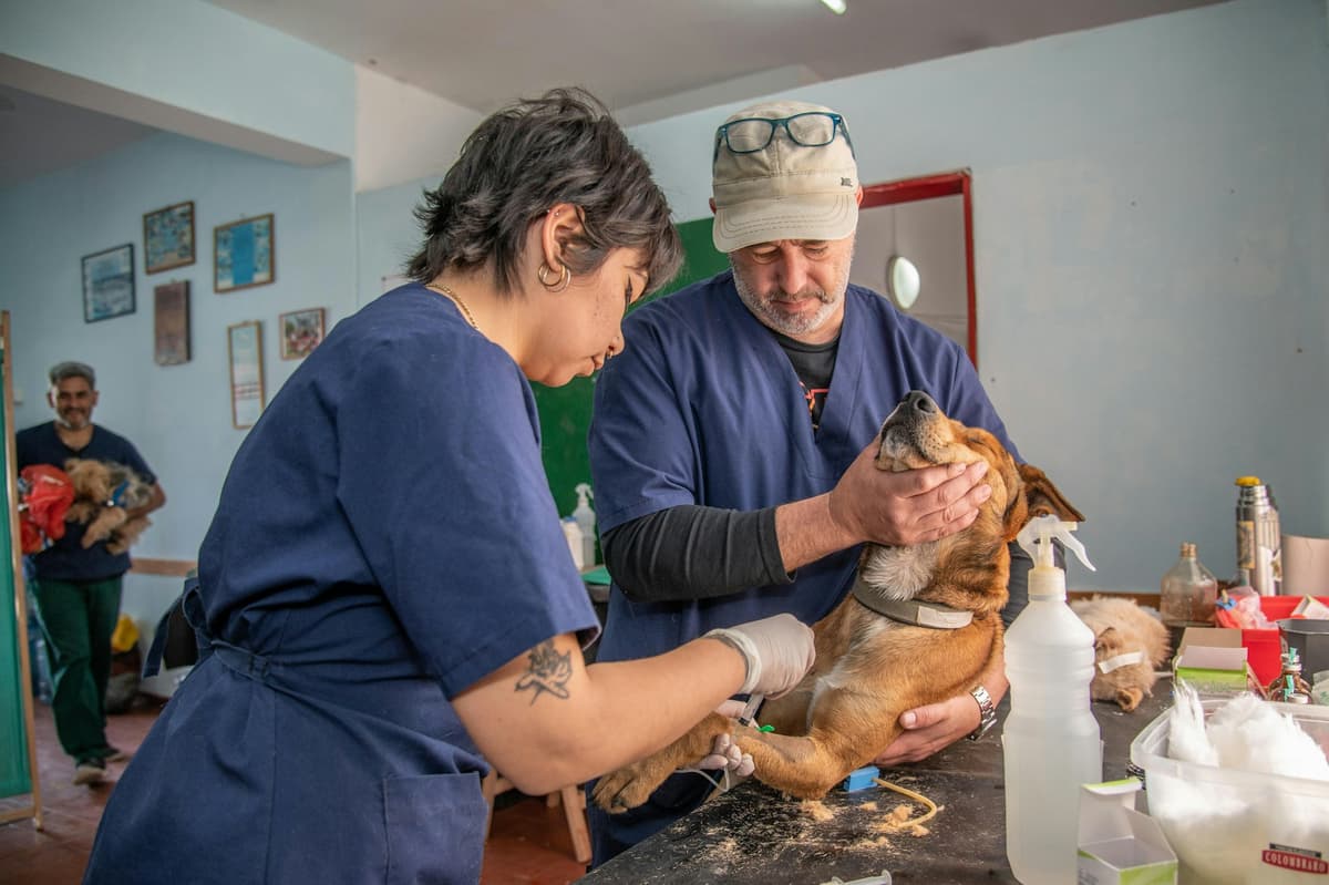 The Animal Doctor clinic entrance